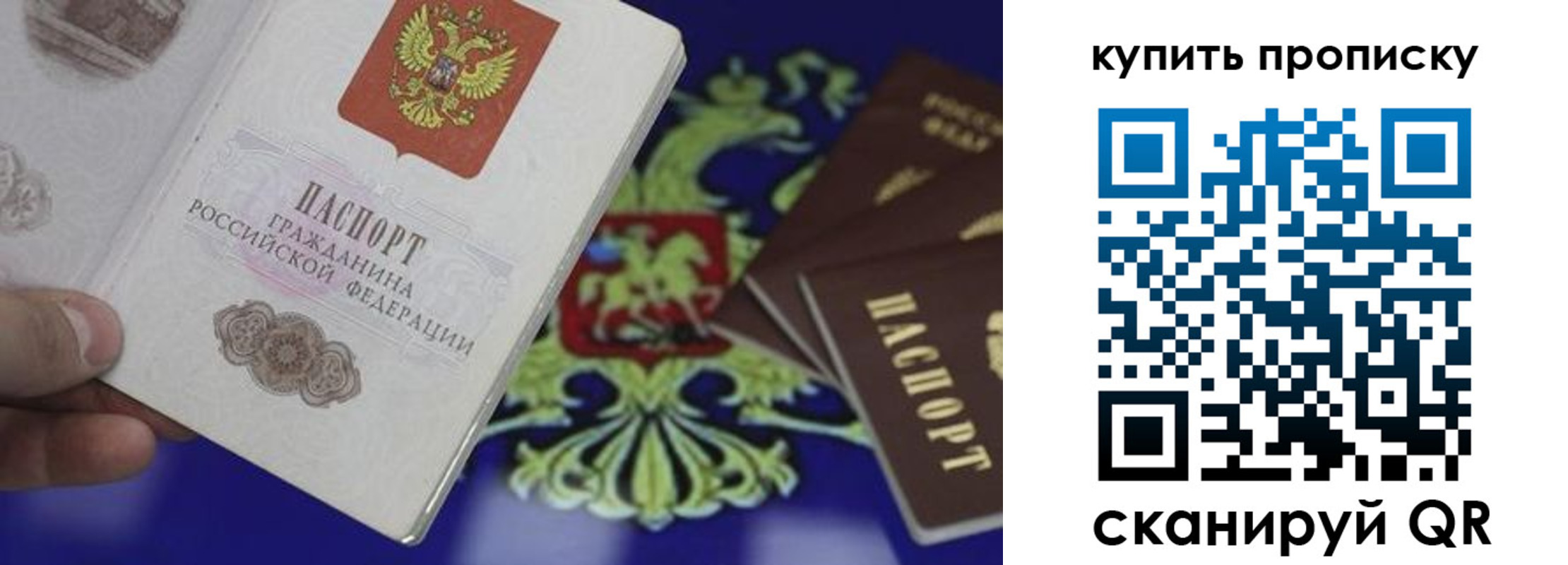 прописка законно в Барнауле